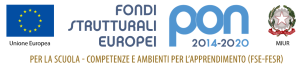 logo_PON